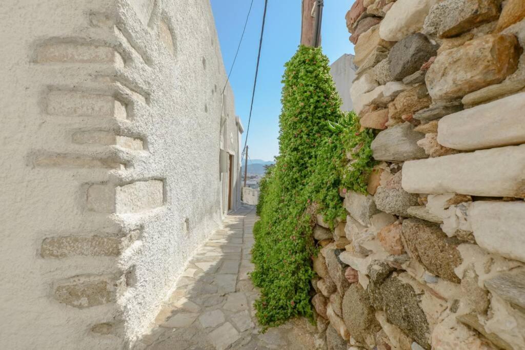 Traditional Castle House II Naxos City Exterior photo